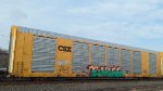 CSX G50146 (Body) TTGX 699821 (Flat)